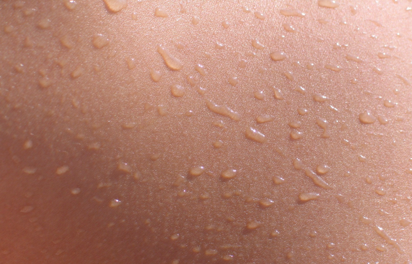 Butcher's Broom Skin Benefits.png